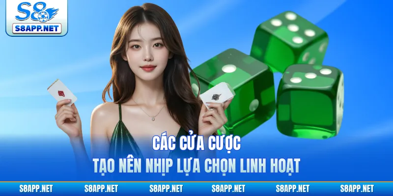Các cửa cược tạo nên nhịp lựa chọn linh hoạt