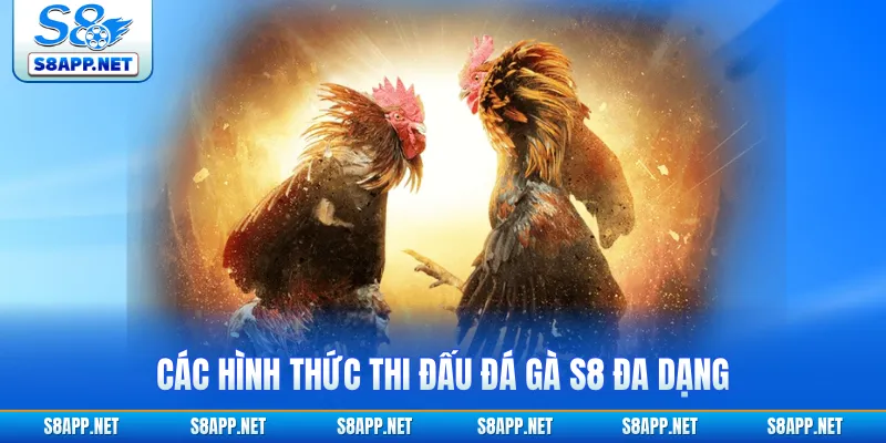 Các hình thức thi đấu đá gà S8 đa dạng