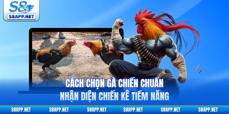 Cách Chọn Gà Chiến Chuẩn Nhận Diện Chiến Kê Tiềm Năng