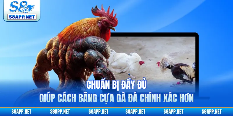 Chuẩn bị đầy đủ giúp cách băng cựa gà đá chính xác hơn