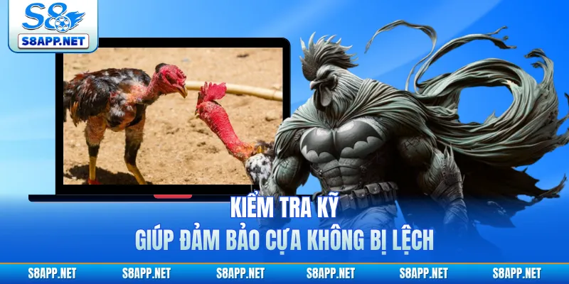 Kiểm tra kỹ giúp đảm bảo cựa không bị lệch