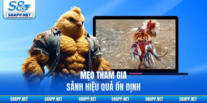 Mẹo tham gia sảnh hiệu quả ổn định