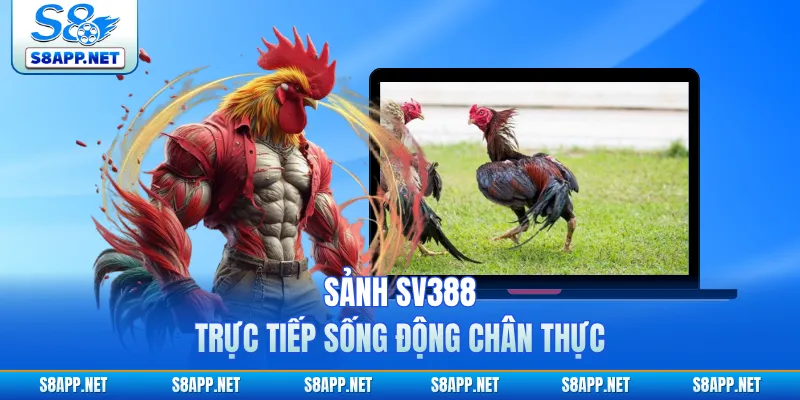 Sảnh SV388 trực tiếp sống động chân thực
